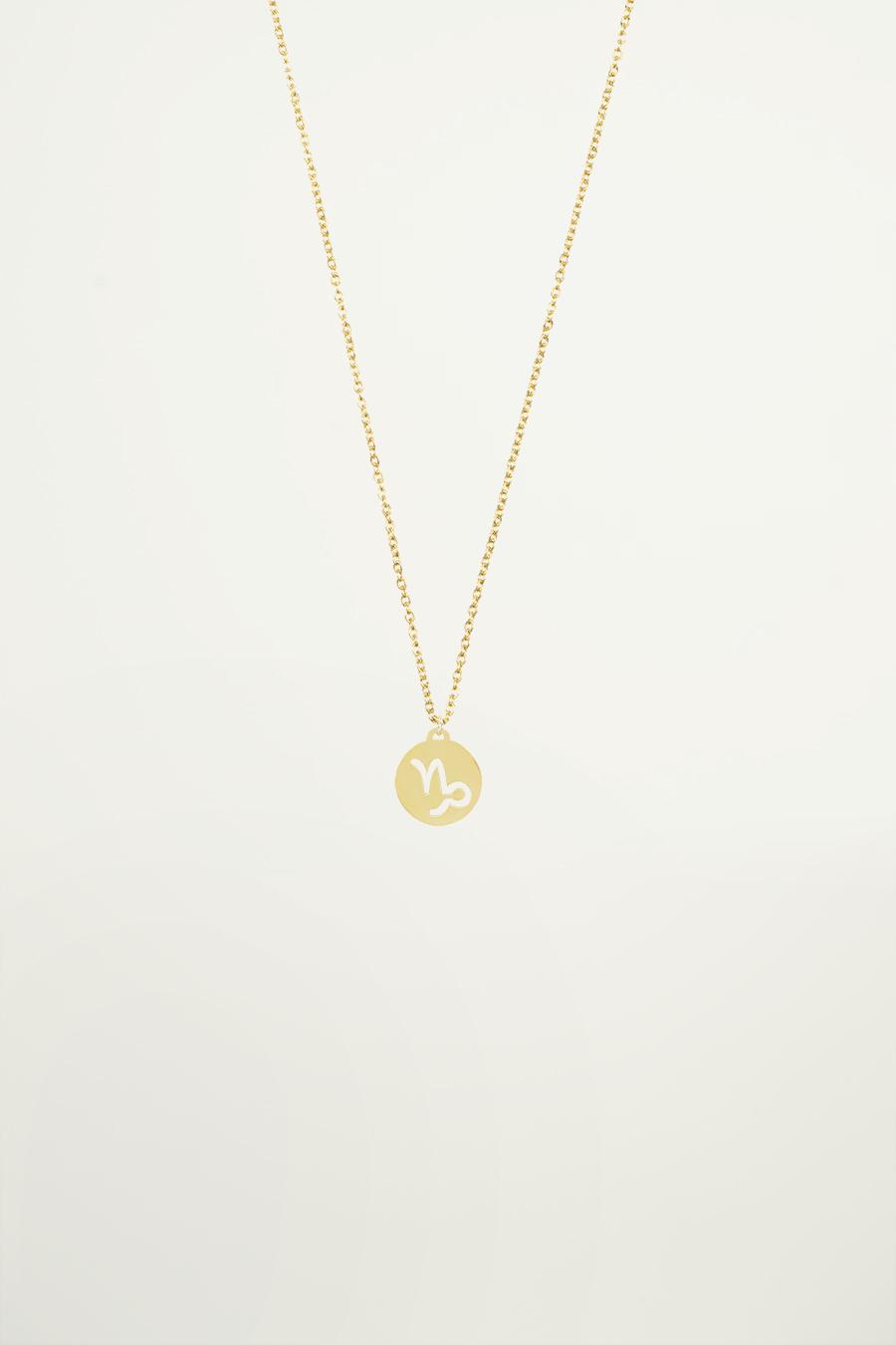 My Jewellery Sterrenbeeld ketting female Goud/Zilver one size