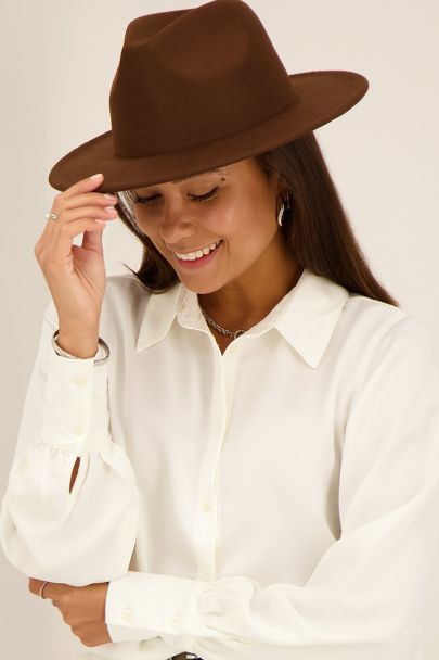 Brown fedora hat