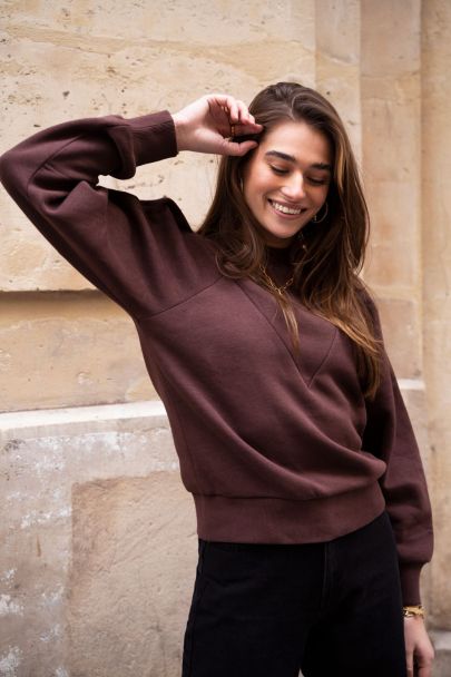 Brown V-shaped sweater