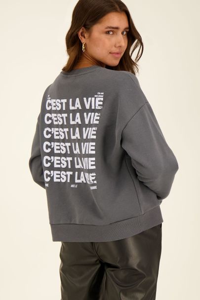 Grauer Pullover "C'est la vie"