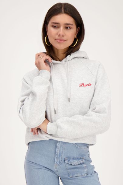 Grey Paris city hoodie