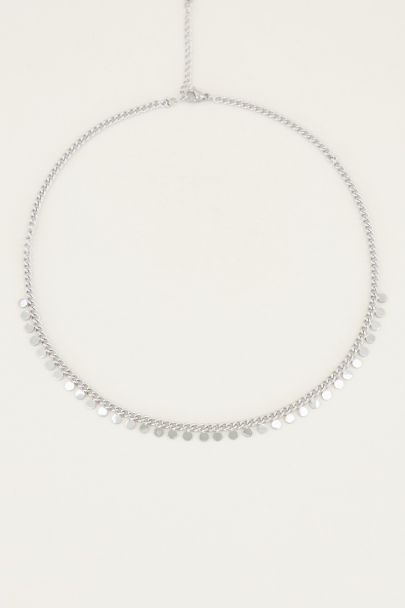 Ketting kleine muntjes | Muntjes ketting My Jewellery