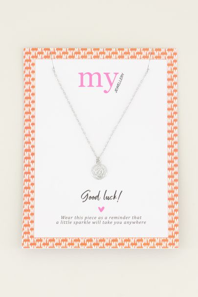 Ketting klein muntje | minimalistische ketting My Jewellery