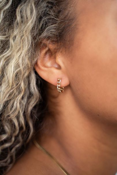 Small chain earrings