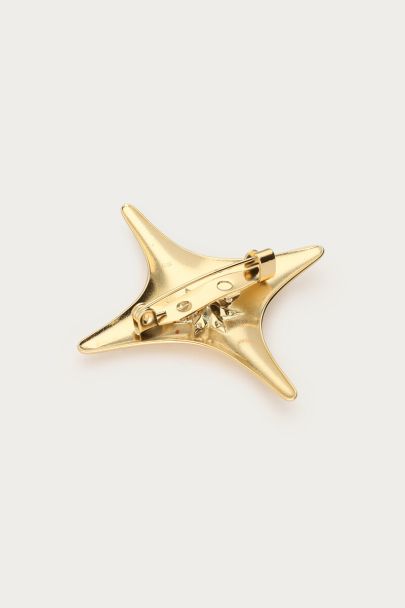Broche Poolster 