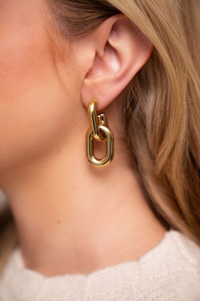 Double oval earrings