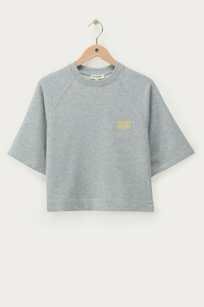 Hellgraues Sweatshirt mit kurzen Ärmeln "Rue des rosiers"