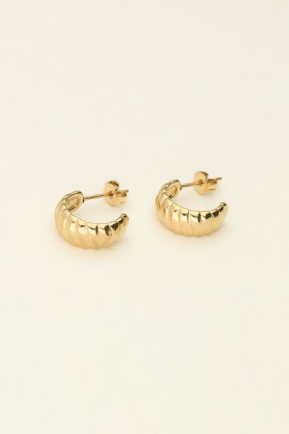 Small hoop earrings with twist | My Jewellery