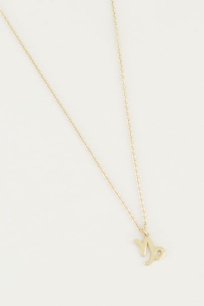 Necklace with zodiac sign charm, zodiac sign necklace