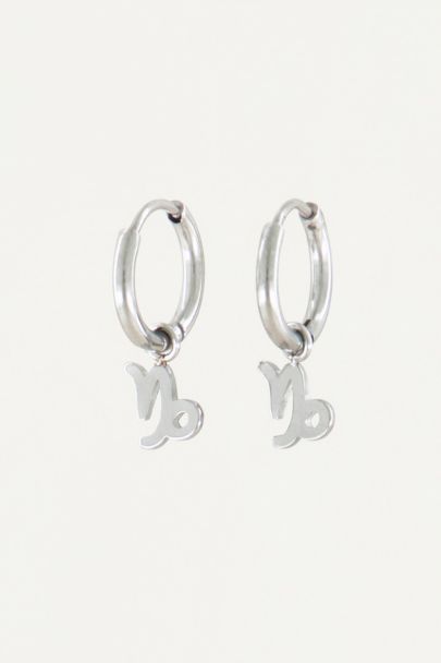 Oorringen sterrenbeeld bedel, zodiac sign earrings