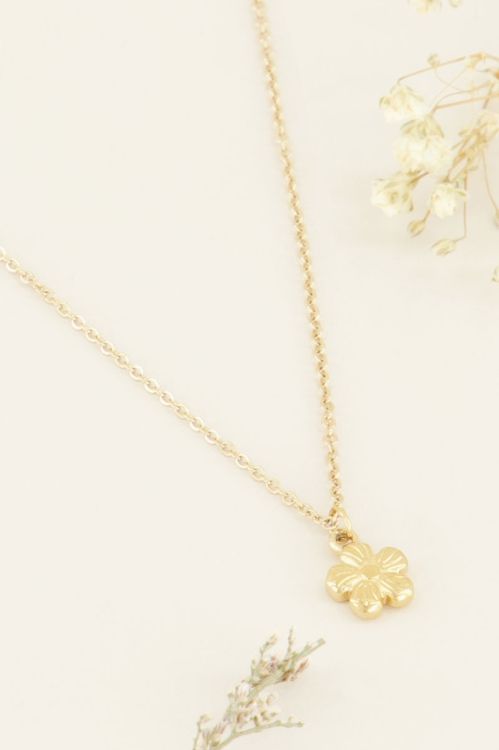 Ketting violet| Kettingen | My Jewellery