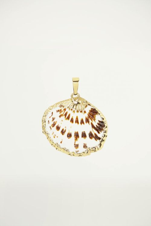 Bedel platte schelp goud, schelpen bedel