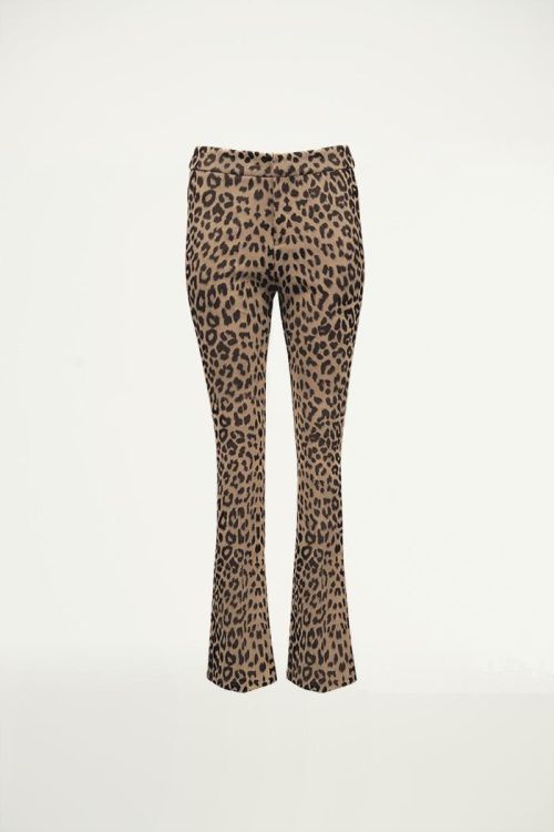 Bruine Flared Broek Luipaard, Pantalon