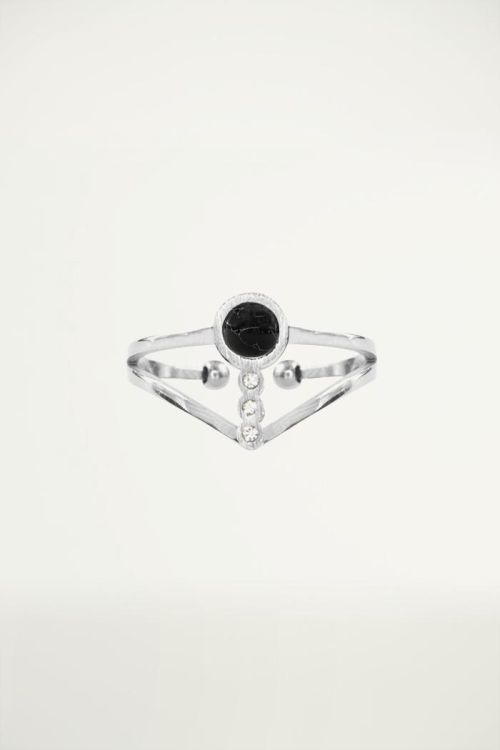 Dubbele ring zwart, RVS Ringen