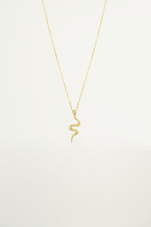 Ketting Hanger Slang, Kettingen