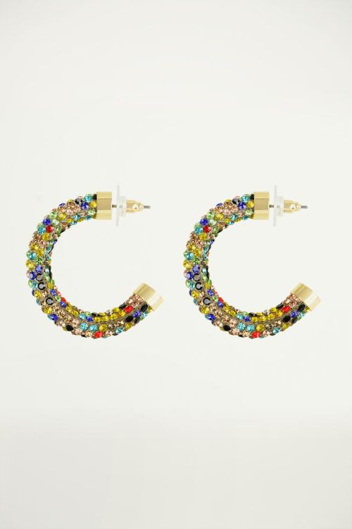 Multikleur oorringen met strass steentjes, statement oorbellen
