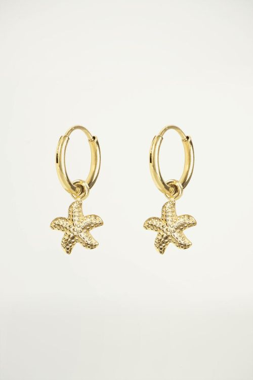 Starfish earrings, hoop earrings