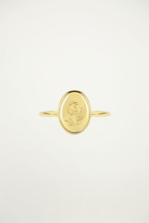 Ring Ovaal Roos, Minimalistische ring