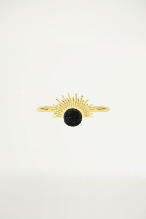 Ring Ronde Steen Zwart, RVS Ringen