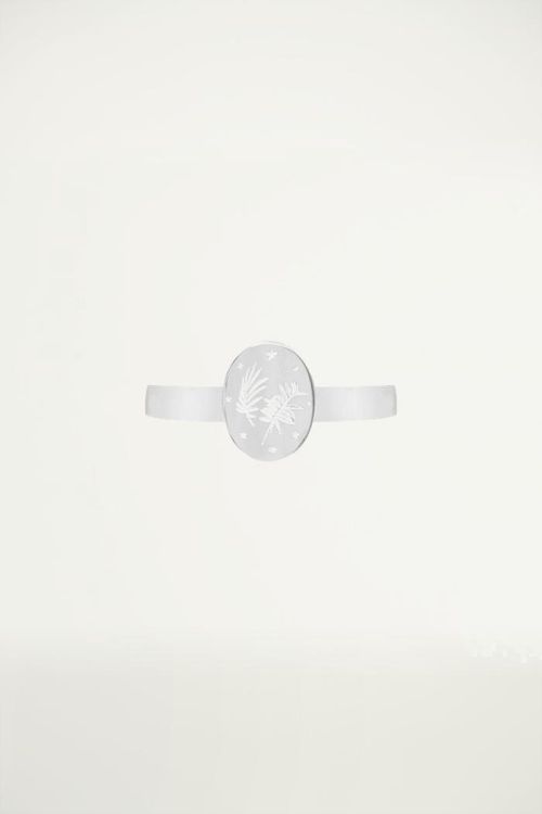 Ring roestvrij staal plaatje bladeren sterren, minimalistische ringen