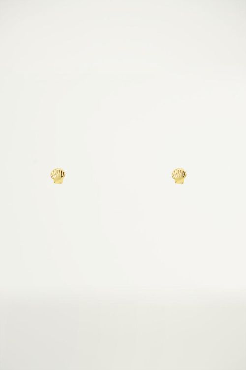 Studs klein schelpje, Minimalistische oorbellen