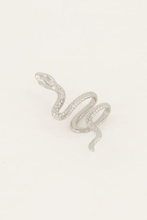 Ear cuff slang