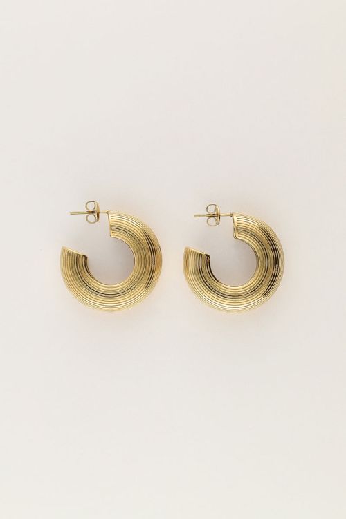 Earrings with light stripes  | My Jewellery