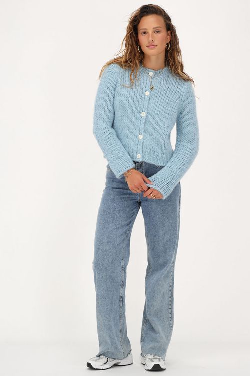 lichtblauwe adidas vest