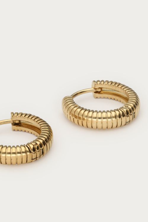 Earrings with stripes details | My Jewellery