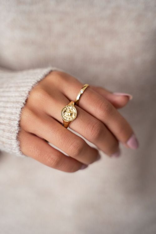 Zegelring met munt | My Jewellery
