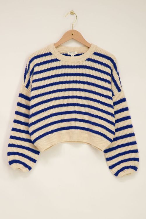 Blauw online gestreepte trui