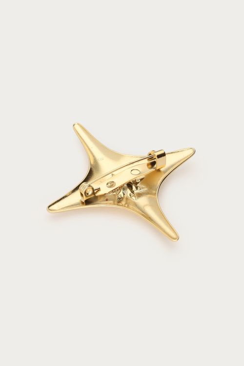 Brooch North Star | My Jewellery