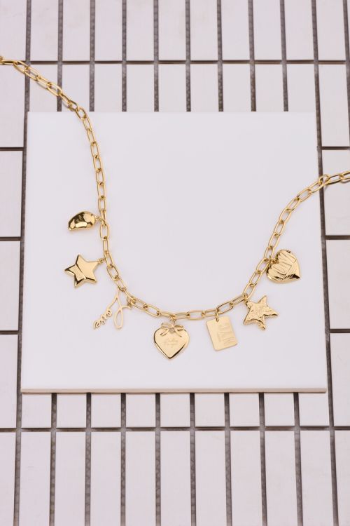 Bold chain necklace with multi charms  | My Jewellery