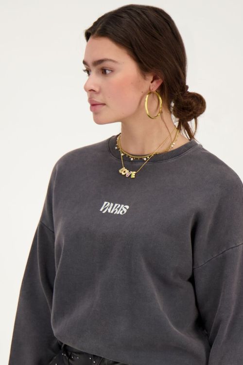 Grey sweatshirt Paris with flowers | My Jewellery