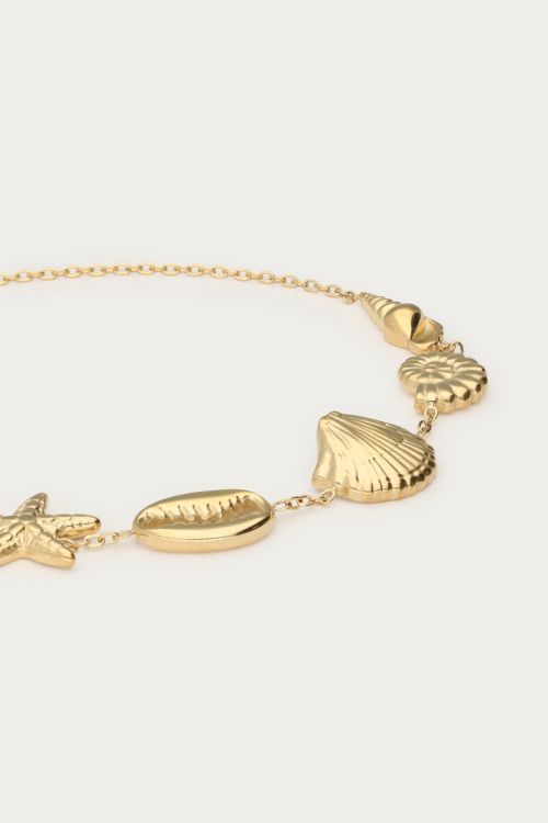 Mer minimalist bracelet with shells | My Jewellery