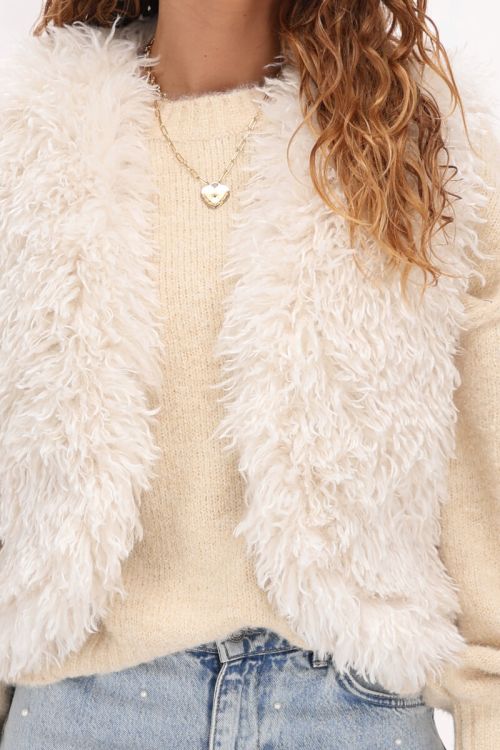 Multicolor furry gilet reversible | My jewellery