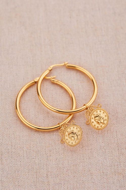 Bold Spirit oorringen met munt | My Jewellery