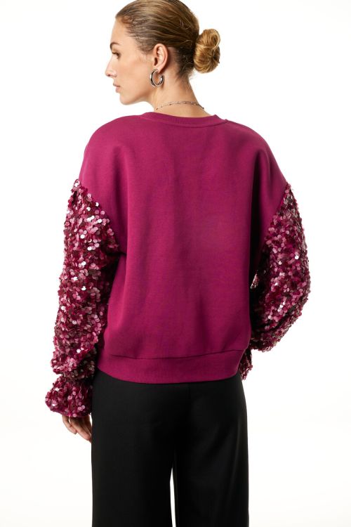 Purple sweater with sequin sleeves | My Jewellery