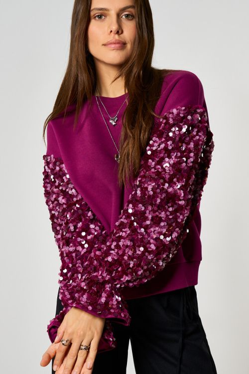 Purple sweater with sequin sleeves | My Jewellery