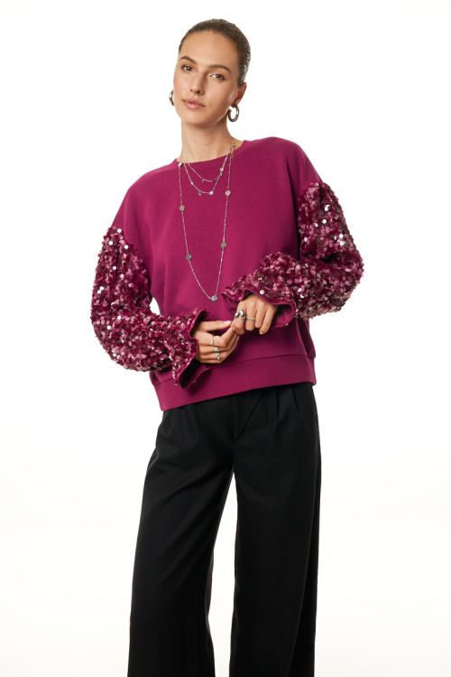 Purple sweater with sequin sleeves | My Jewellery