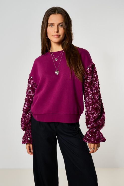 Purple sweater with sequin sleeves | My Jewellery