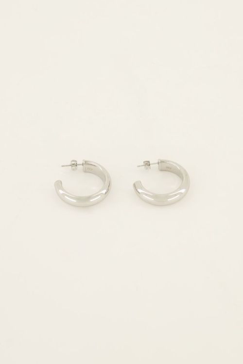 Small hoop earrings