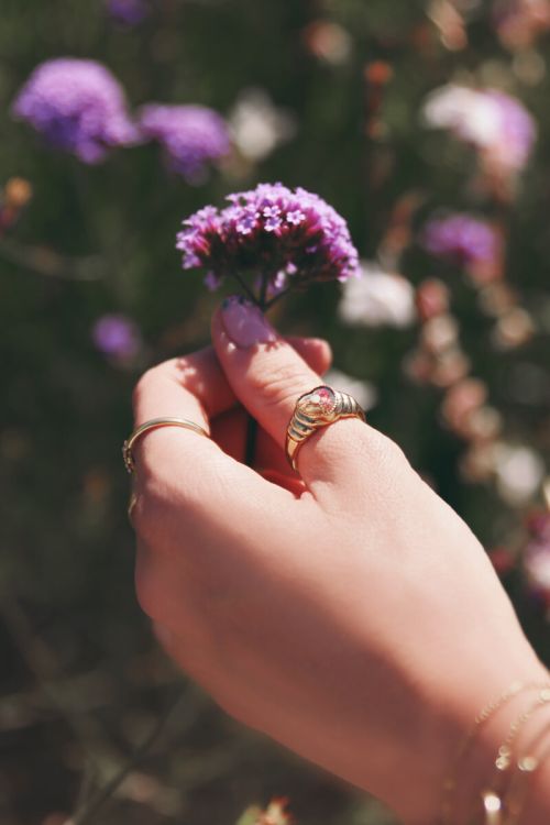 wildflower my jewellery