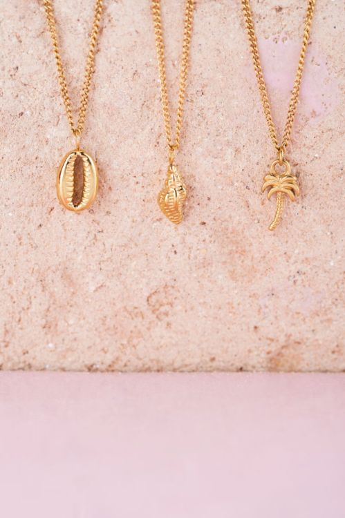 Van God werkzaamheid gids Souvenir ketting met kauri schelp bedel| My Jewellery