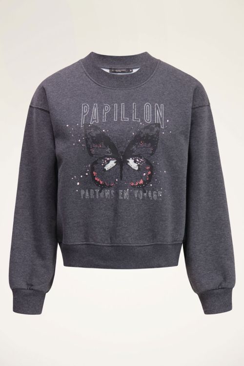 Grijze sweater met vlinder | My Jewellery