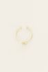 Sterrenbeeld ring, zodiac sign My jewellery