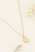 Ketting violet| Kettingen | My Jewellery