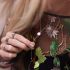 My Jewellery Ketting muntje steentje y vorm