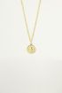 Ketting Fleur De Lis, Schakelketting