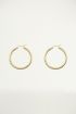 Basic small earrings, hoop earrings